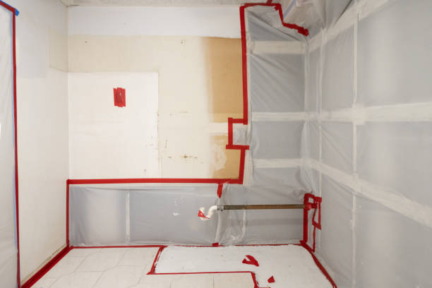 Mold Removal for HVAC Installations in Hebron, NE