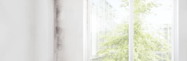 Hebron, NE Mold Removal Company